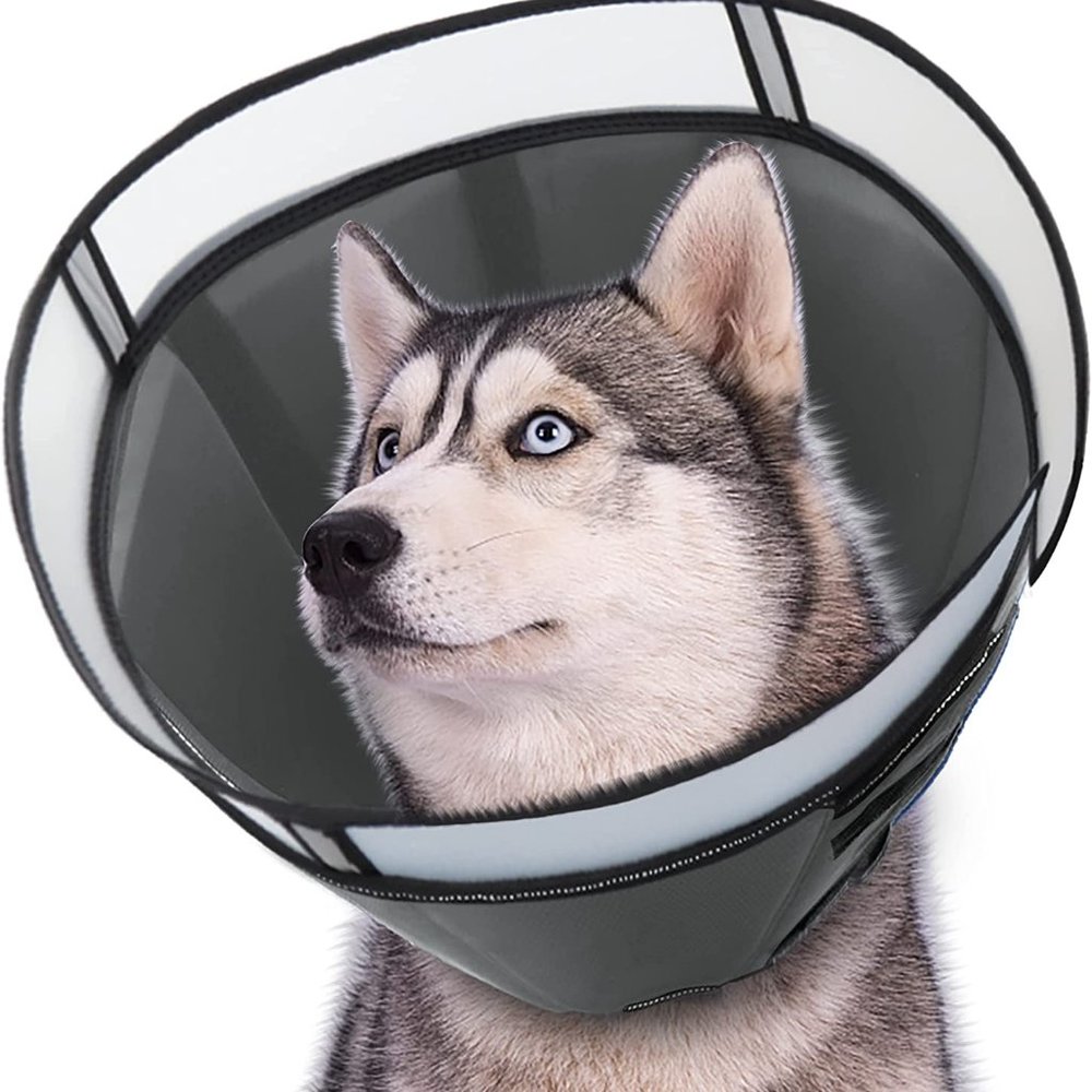 Protective Padded Dog Cone with Velcro Close and Attached to Collar size…